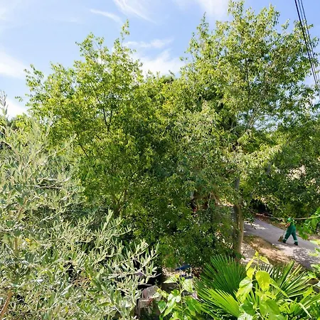 Apartament Massimo