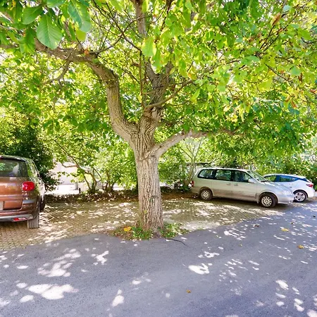 Apartament Massimo