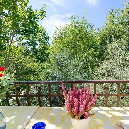 Massimo Apartment