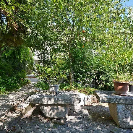 Massimo Apartment *